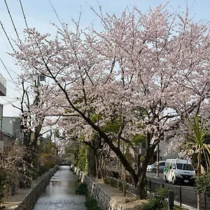 初音 ホームステイ